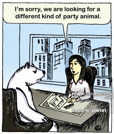 'I'm sorry, we are looking for a different kind of party animal.'